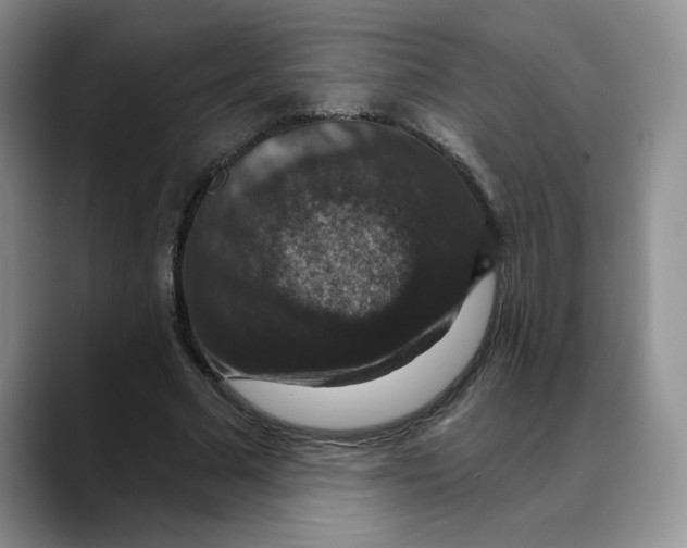 X0000088430681200706121451