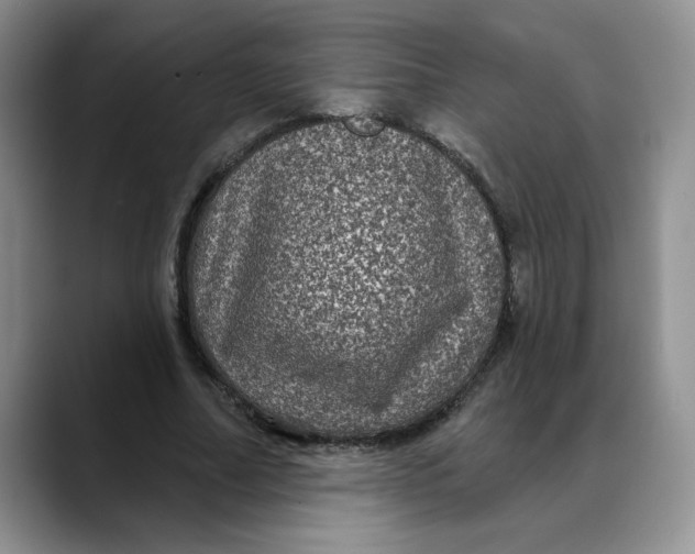 X0000088430682200706121451