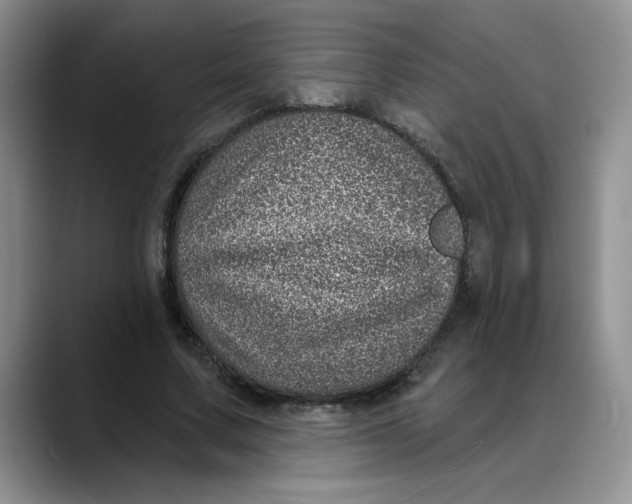 X0000088430683200706121451