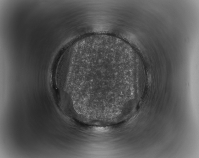 X0000088430684200706121451