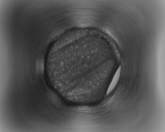 X0000088430685200706121451