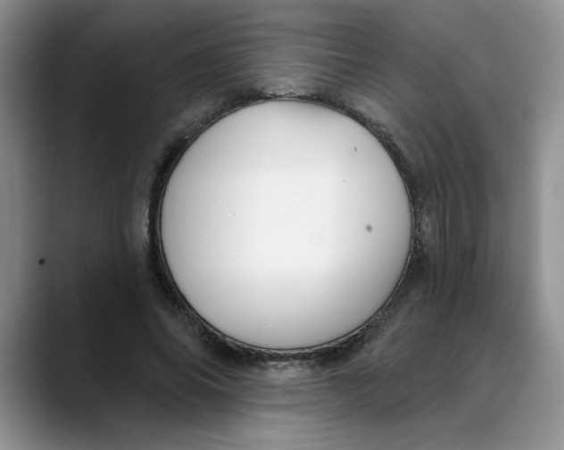 X0000088430686200706121451