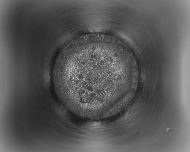 X0000088430687200706121451