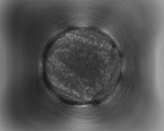 X0000088430688200706121451