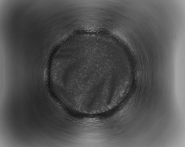 X0000088430689200706121451