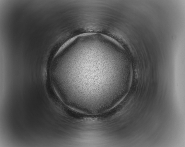 X0000088430690200706121451