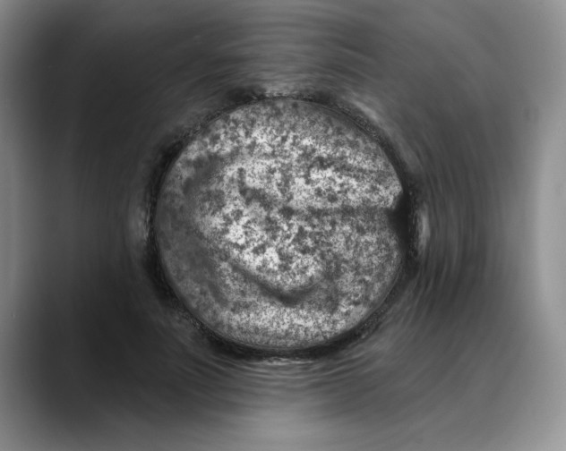 X0000088430691200706121451