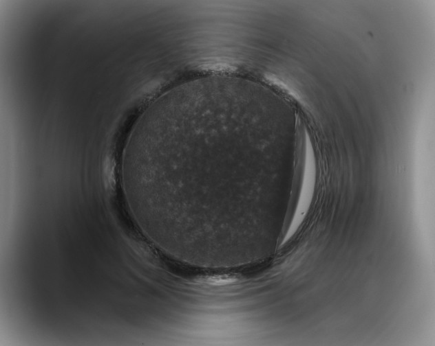 X0000088430692200706121451