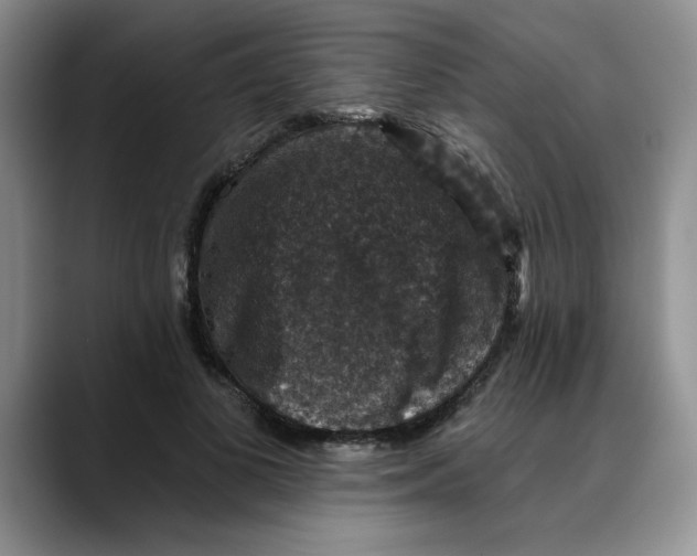 X0000088430693200706121451