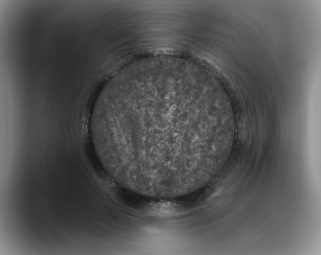 X0000088430695200706121451