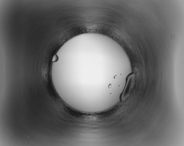 X0000088430698200706121451