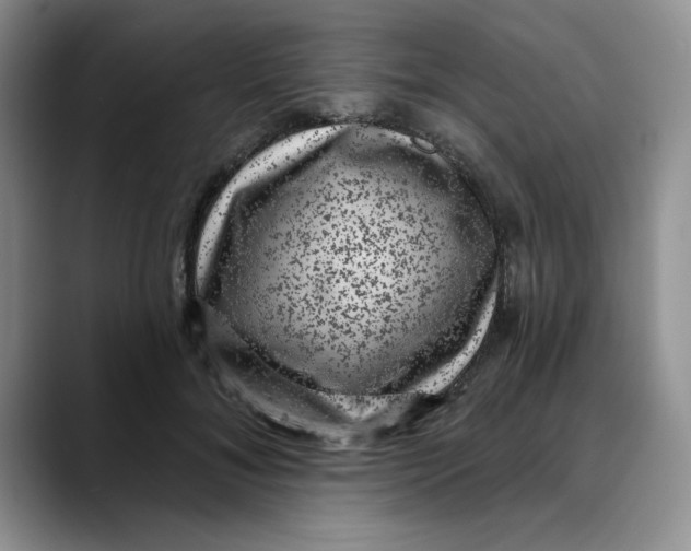 X0000088430700200706121451