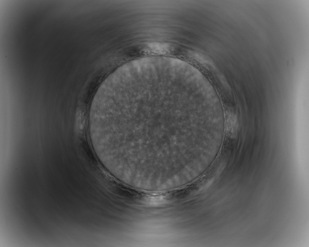 X0000088430701200706121451