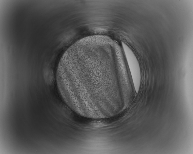 X0000088430704200706121451