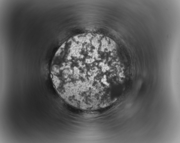 X0000088430707200706121451