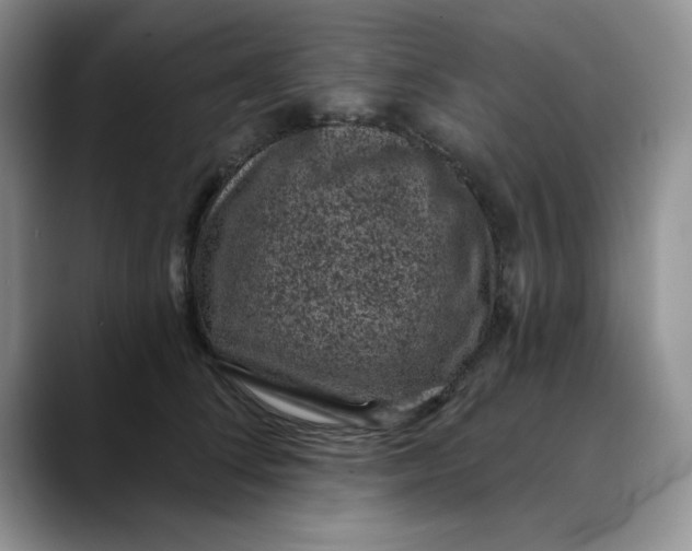 X0000088430708200706121451