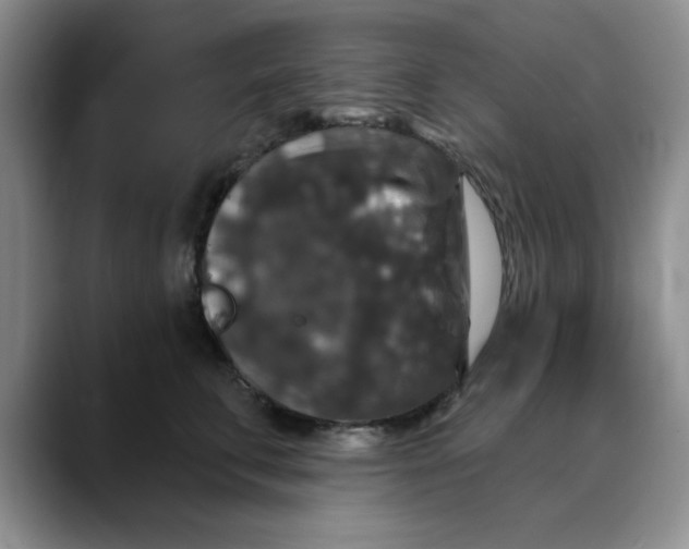 X0000088430711200706121450