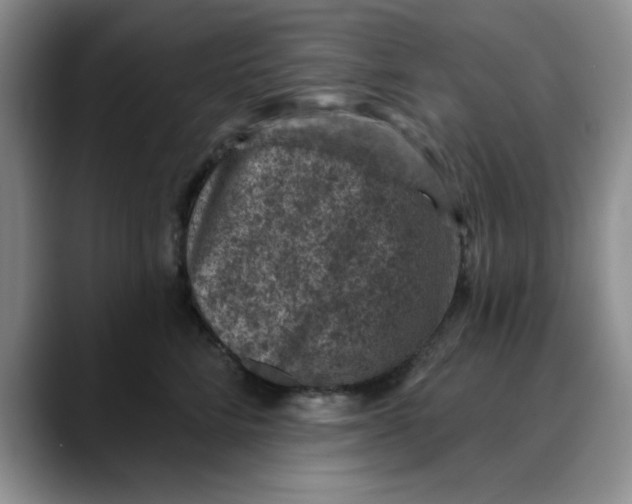 X0000088430712200706121450