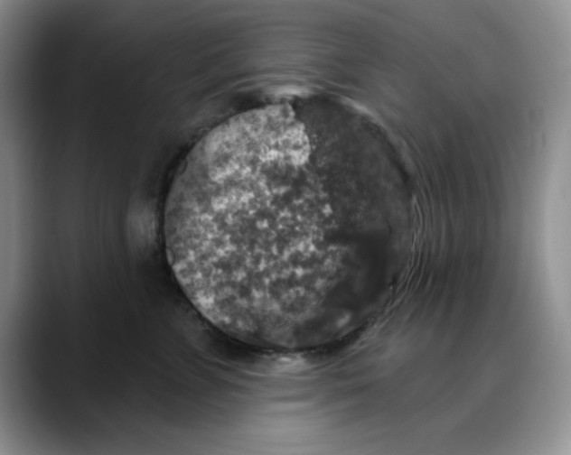 X0000088430715200706121450