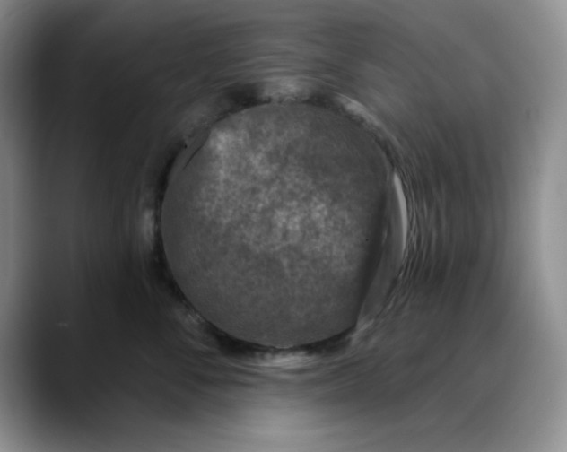 X0000088430716200706121450