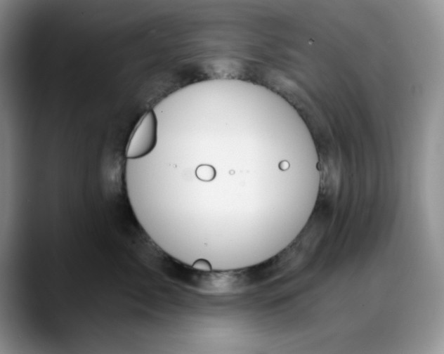 X0000088430717200706121450