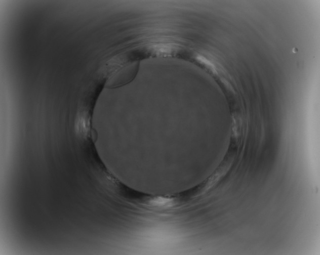 X0000088430718200706121450