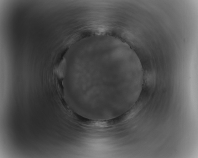 X0000088430719200706121450