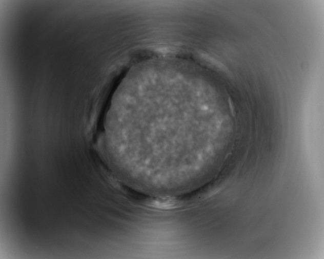 X0000088430720200706121450