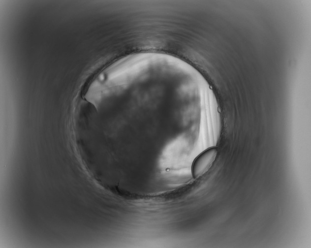 X0000088430721200706121450