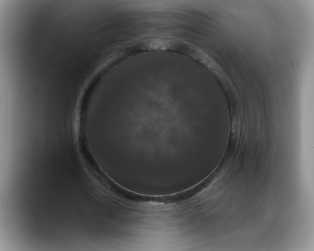 X0000088430722200706121450