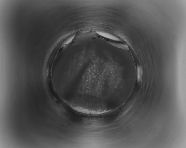 X0000088430723200706121450