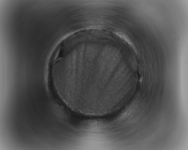 X0000088430724200706121450