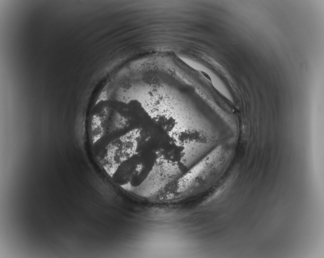 X0000088430725200706121450