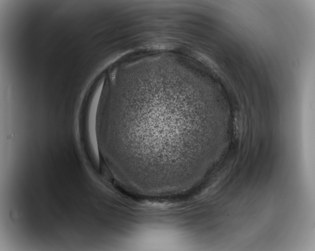 X0000088430726200706121450