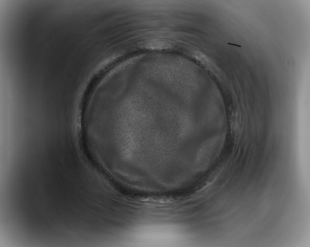 X0000088430727200706121450