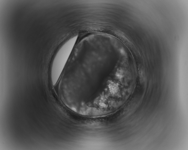 X0000088430729200706121450