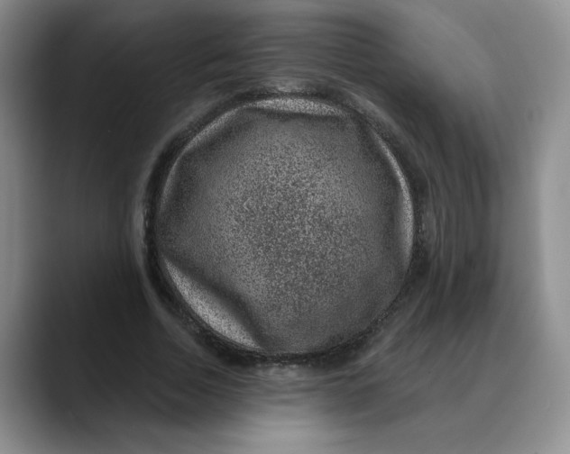 X0000088430730200706121450