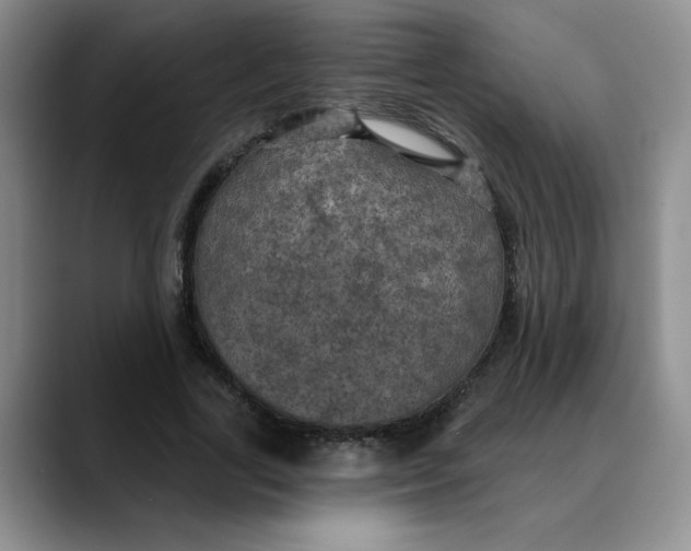 X0000088430731200706121450