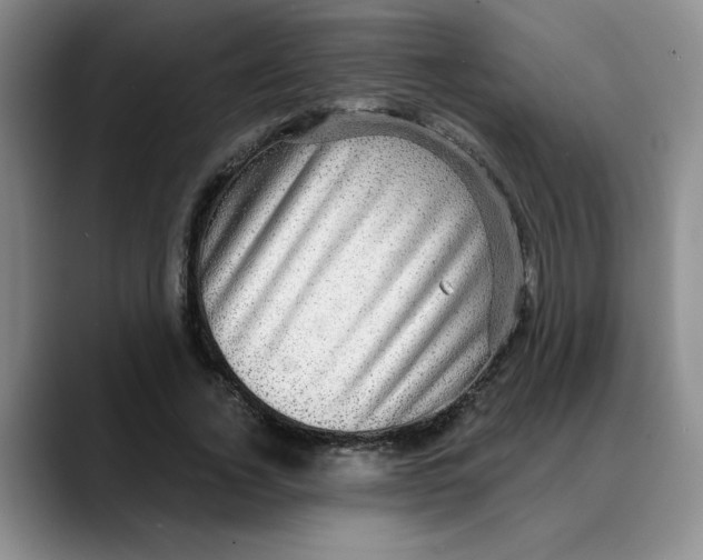 X0000088430732200706121450