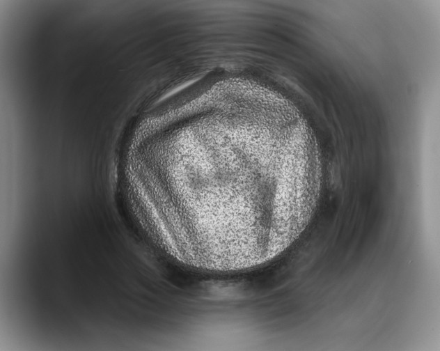 X0000088430733200706121450