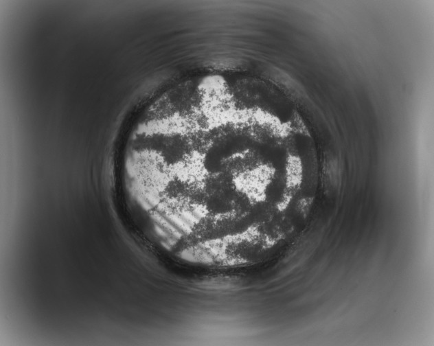 X0000088430734200706121450