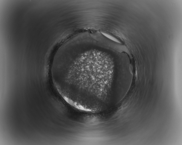 X0000088430735200706121450