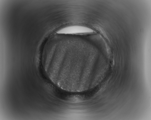 X0000088430736200706121450