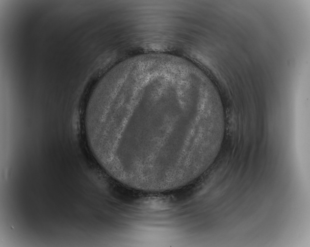 X0000088430738200706121450