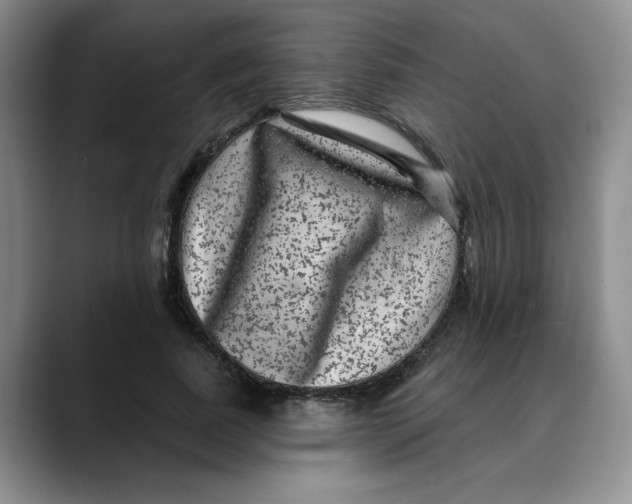 X0000088430739200706121450