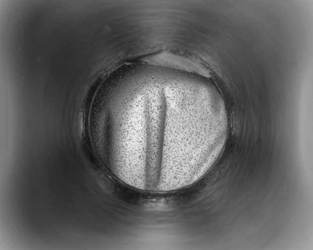 X0000088430740200706121450