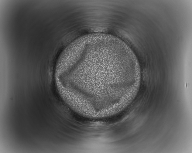 X0000088430741200706121450