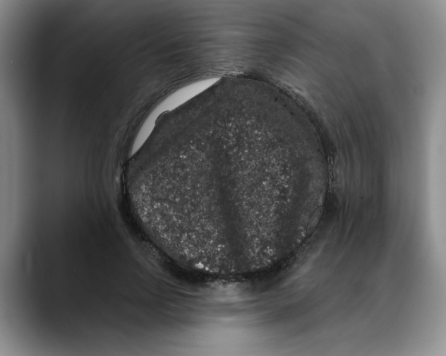 X0000088430742200706121450