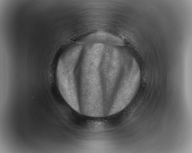 X0000088430743200706121450