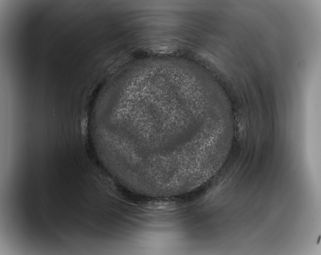 X0000088430745200706121450